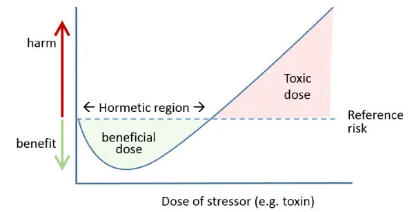 Hormetic stressor infographic